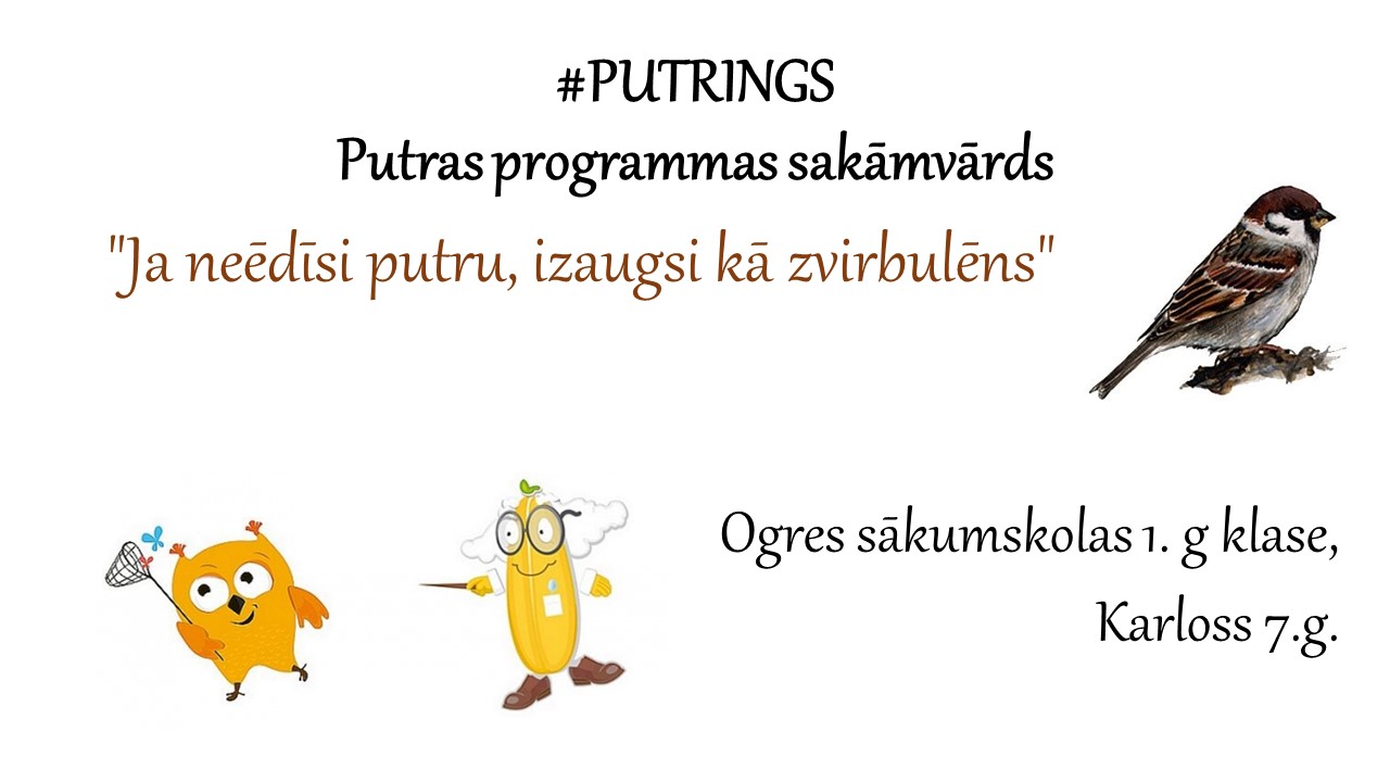 Putrings